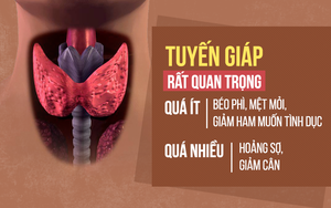 Tuyến giáp quan trọng và lớn nhất cơ thể: Tiến sĩ Mỹ chỉ cách bảo vệ hiệu quả không ngờ