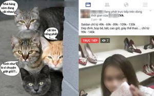 Từ ngày có "chợ" livestream, "thế giới chị em Eva" dường như bình yên hơn hẳn?