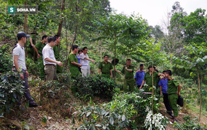 Nghi phạm giết cô ruột, buộc vào gốc cây dọa "sẽ đánh chết ai lại gần" lúc bị vây bắt
