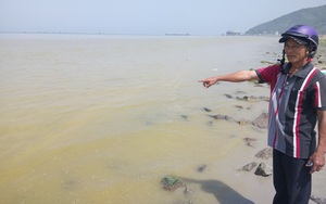 Dải nước màu vàng xuất hiện ở biển Lăng Cô, không có cá tôm bơi quanh