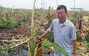 Giám đốc Công an Hải Phòng bác thông tin liên quan đến nhóm "côn đồ chặt 3000 gốc chuối"