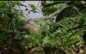 Phát hiện thi thể nam thanh niên đội mũ bảo hiểm dưới ao làng