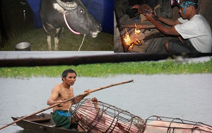 Video: Người dân chèo thuyền đưa lợn lên cao, đốt lửa sưởi ấm gà trong lũ