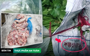 Lòng lợn khuấy đảo Hà Nội - Phú Yên, rau Trung Quốc tấn công ồ ạt