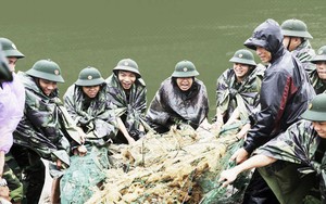 [PHOTO ESSAY] Toàn cảnh Đà Nẵng chạy đua với bão chuẩn bị cho khai mạc APEC