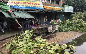 Nghệ An: Tan hoang sau bão, cây xanh bật gốc đè ô tô, người dân chặt cây tìm đường vào nhà