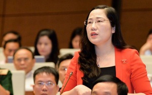 Bị luật sư phản ứng, đại biểu Nguyễn Thị Thủy: "Tôi phát biểu vì lợi ích chung quốc gia"