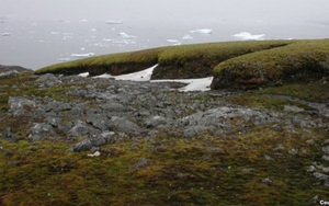 Tin không vui: Hiểm họa khó lường khiến Nam Cực dần trở lại 3 triệu năm trước!