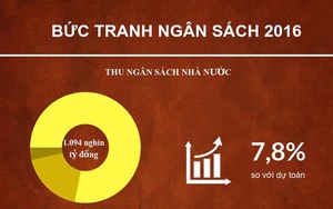 [Infographics] Bức tranh ngân sách 2016