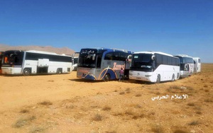 Kỳ lạ: Đoàn xe IS đầu hàng kẹt giữa sa mạc mà cả quân Nga, Mỹ lẫn Syria đều "bỏ qua"