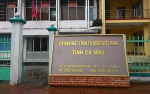 Trong ba năm, hai lần bị cảnh cáo Đảng vì sử dụng hồ sơ, bằng cấp giả