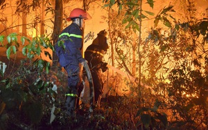 GĐ Sở nhận định nguyên nhân ban đầu "vụ cháy rừng lớn nhất, lâu nhất trong lịch sử"