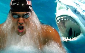 Siêu kình ngư Michael Phelps đua với cá mập trắng: Kẻ 8 lạng người nửa cân, ai thắng?