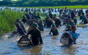 Cả làng hú lớn, tay nơm tay lưới ào xuống vực đánh cá Đồng Hoa