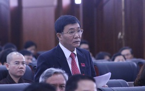 Đại biểu HĐND Đà Nẵng: "Doanh nghiệp dùng thủ đoạn hèn hạ bôi nhọ danh dự lãnh đạo"