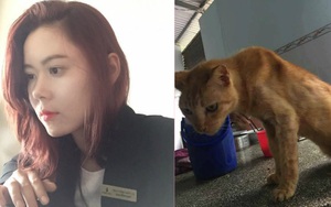 Câu chuyện về chú mèo 20 tuổi ở Long An khiến bao người cảm động