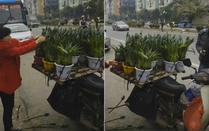 Bỏ 3 triệu đồng mua "Lan tài lộc", cay đắng phát hiện là đồ rởm