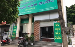 2 giờ sáng, nữ giám đốc công ty du học học bị nam sinh lẻn vào phòng cứa cổ