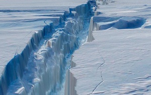 Tảng băng khổng lồ ở Nam Cực có nguy cơ nứt gãy, giới khoa học "đứng ngồi không yên"