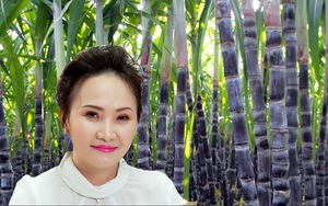 "Công chúa mía đường" nhận được thù lao cao gấp nhiều lần Chủ tịch