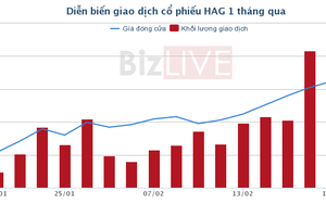 Hàng loạt khoản nợ được gia hạn, cổ phiếu HAG thành hàng “nóng”