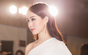 Hoa hậu Đặng Thu Thảo thu hút mọi ánh nhìn sau thời gian ít xuất hiện