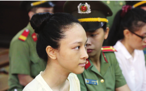 Những tình huống bi, hài ở chốn pháp đình năm 2016