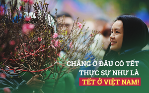 Phải chăng các nhà sử học còn nợ đất nước một câu hỏi lớn về cội nguồn Tết?