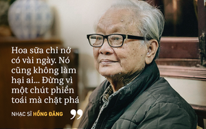 Nhạc sĩ Hồng Đăng: Đừng làm đau hoa sữa