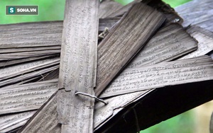 Ngắm chữ, hình vẽ cổ trên lá cây được kết lại thành cuốn sách quý