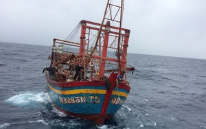 Mất lái, tàu cá “dật dờ” trên biển với 9 thuyền viên