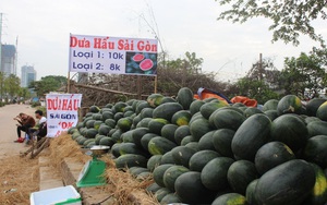 Dưa hấu miền Nam mất giá, đổ bộ ra Hà Nội bán chỉ 6.000 đồng/kg
