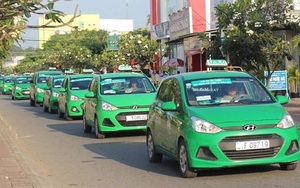Mai Linh mất thêm người trong cuộc chiến với Uber, Grab