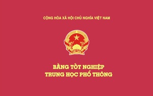 Gia Lai: Bí thư thị trấn thừa nhận chưa có bằng cấp 3