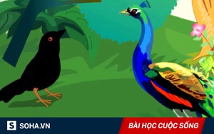 "Công và quạ, con nào đẹp hơn?" và câu trả lời khiến nhiều người trong chúng ta tỉnh ngộ!