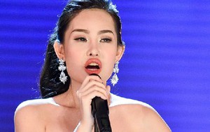 Sai lầm nghiêm trọng của HH Đại dương Ngân Anh