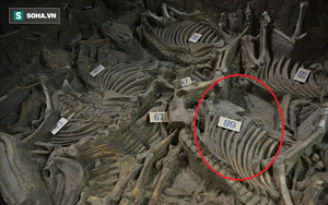 Bí ẩn cổ mộ 2.400 năm chứa hơn 100 xác ngựa ở Trung Quốc