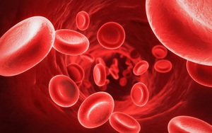 11 điều cơ bản cần biết về nhiễm khuẩn huyết