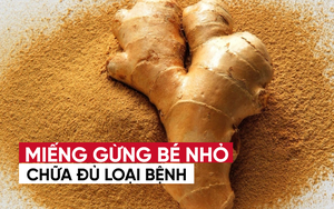 Hai chuyên gia Đông y hướng dẫn cách dùng gừng để chữa bệnh "tốt từ đầu đến chân"