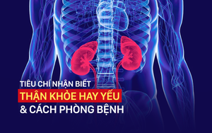 Tiêu chuẩn của một người sở hữu thận khỏe, hãy xem ngay để biết bạn thế nào!