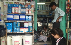 'Chúa đảo Tuần Châu' sắp làm chợ Kim Biên mới ở Sài Gòn