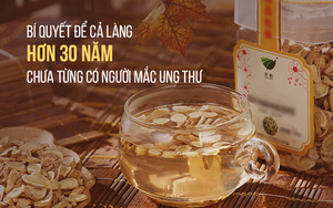 Cả làng 30 năm chưa có người mắc ung thư: Bí quyết nhờ vào một loại thảo dược dân dã