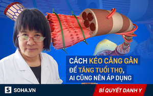 GS Lý Thiết Hồng: Nói "kéo gân 1 thốn, sống thọ 10 năm" không có gì là quá khoa trương!