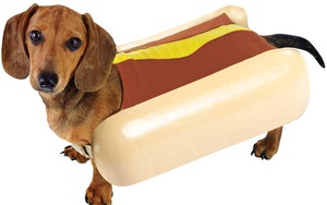 Ăn "hot dog" nhiều là thế nhưng tên gọi này từ đâu chui ra vậy?