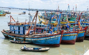 Về làng chài tỷ phú ở Vũng Tàu