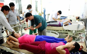 Vụ 10 người ngộ độc nấm ở Nghệ An: Cần làm gì khi ăn phải nấm độc?
