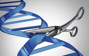Trung Quốc đã thất bại, Mỹ vừa thành công: "Cắt ADN" sửa khiếm khuyết gen người