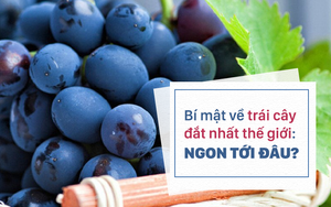 Loại quả nhập khẩu từ Nhật, đắt nhất Việt Nam: Báo Trung Quốc viết gì?