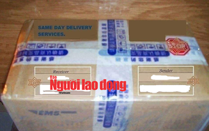 TP HCM: "Quý bà" Thụy Sĩ sụp bẫy trai lạ