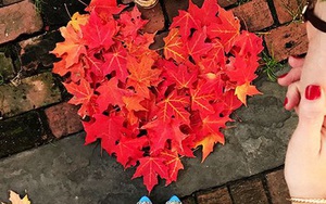 Trong tình yêu, con gái càng dại lại càng khôn